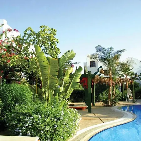 Delta Sharm Resort 103-82